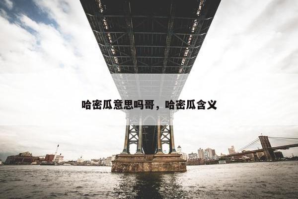 哈密瓜意思吗哥，哈密瓜含义