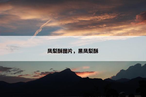 凤梨酥图片,黑凤梨酥 凤梨酥图片,黑凤梨酥