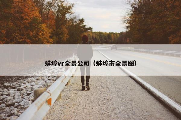 蚌埠vr全景公司（蚌埠市全景图）