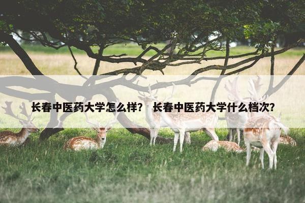 长春中医药大学怎么样？ 长春中医药大学什么档次？