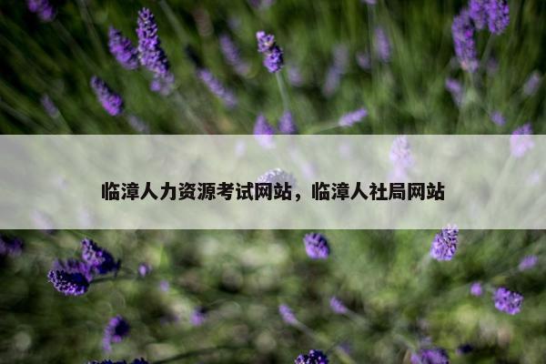 临漳人力资源考试网站，临漳人社局网站