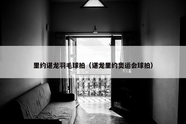 里约谌龙羽毛球拍（谌龙里约奥运会球拍）