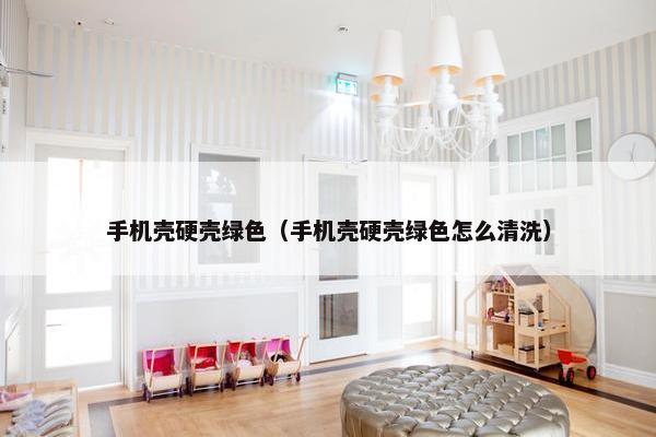 手机壳硬壳绿色（手机壳硬壳绿色怎么清洗）