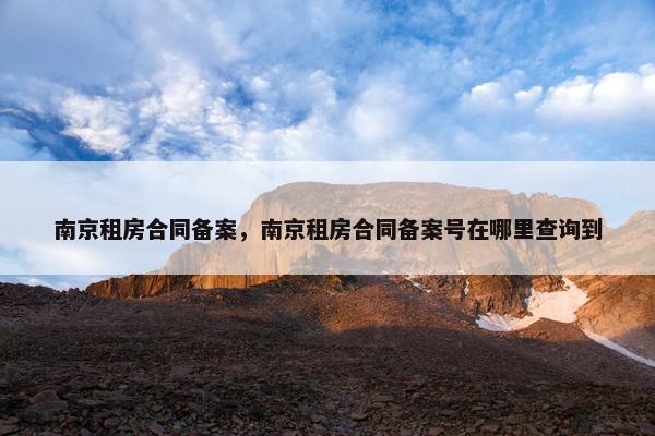 南京租房合同备案，南京租房合同备案号在哪里查询到