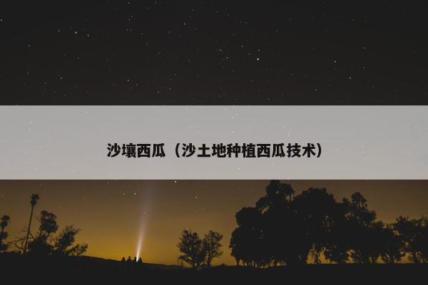 沙壤西瓜（沙土地种植西瓜技术）