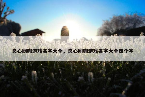 良心网咖游戏名字大全,良心网咖游戏名字大全四个字 良心网咖游戏名字大全,良心网咖游戏名字大全四个字