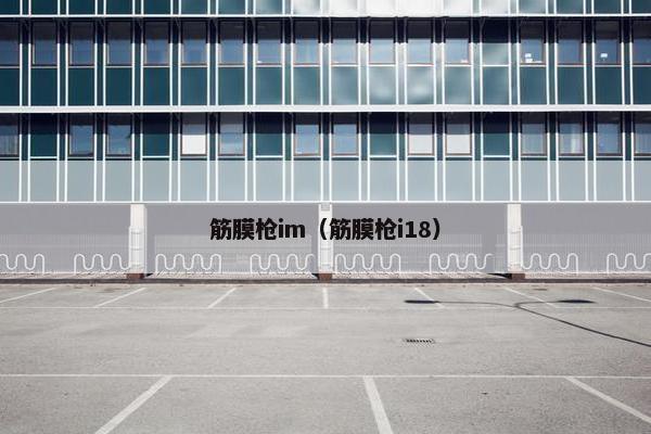 筋膜枪im(筋膜枪i18) 筋膜枪im(筋膜枪i18)