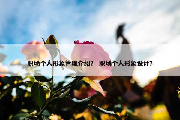 职场个人形象管理介绍？ 职场个人形象设计？