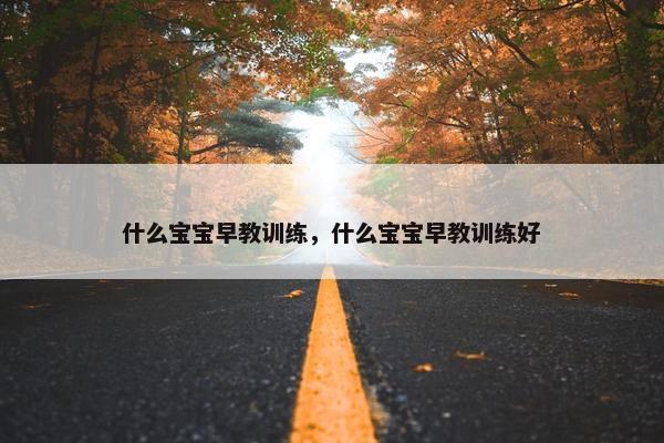 什么宝宝早教训练，什么宝宝早教训练好