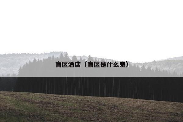 盲区酒店（盲区是什么鬼）