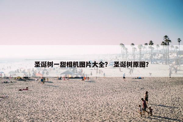 圣诞树一甜相机图片大全？ 圣诞树原图？