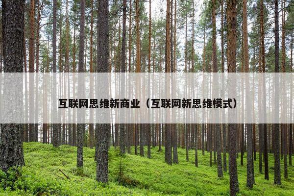 互联网思维新商业（互联网新思维模式）