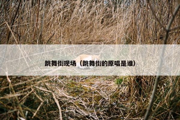 跳舞街现场(跳舞街的原唱是谁) 跳舞街现场(跳舞街的原唱是谁)