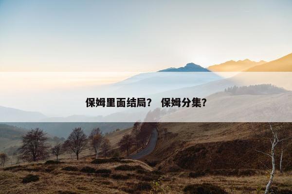 保姆里面结局? 保姆分集? 保姆里面结局? 保姆分集?