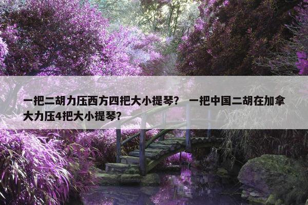 一把二胡力压西方四把大小提琴? 一把中国二胡在加拿大力压4把大小提琴? 一把二胡力压西方四把大小提琴? 一把中国二胡在加拿大力压4把大小提琴?