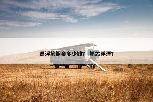 漂浮笔佣金多少钱? 笔芯浮漂? 漂浮笔佣金多少钱? 笔芯浮漂?