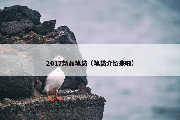 2017新品笔袋（笔袋介绍来啦）