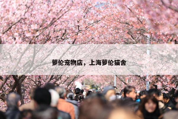 萝伦宠物店,上海萝伦猫舍 萝伦宠物店,上海萝伦猫舍