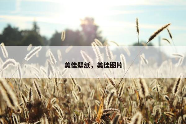 美佳壁纸，美佳图片