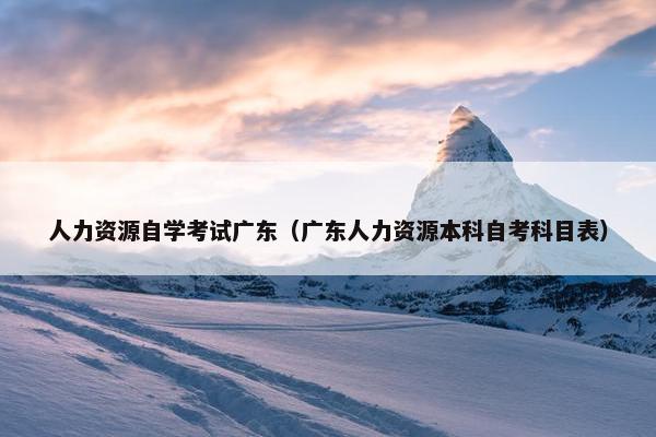 人力资源自学考试广东（广东人力资源本科自考科目表）