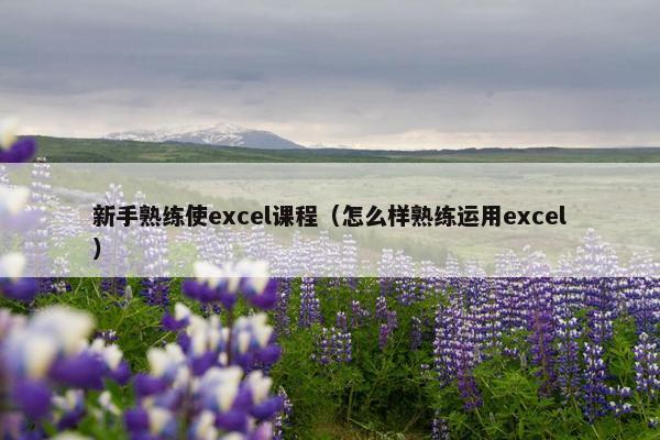 新手熟练使excel课程(怎么样熟练运用excel) 新手熟练使excel课程(怎么样熟练运用excel)