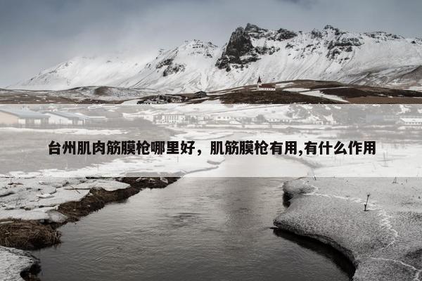 台州肌肉筋膜枪哪里好,肌筋膜枪有用,有什么作用 台州肌肉筋膜枪哪里好,肌筋膜枪有用,有什么作用
