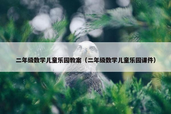 二年级数学儿童乐园教案（二年级数学儿童乐园课件）