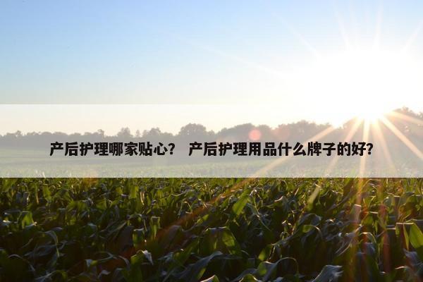 产后护理哪家贴心? 产后护理用品什么牌子的好? 产后护理哪家贴心? 产后护理用品什么牌子的好?