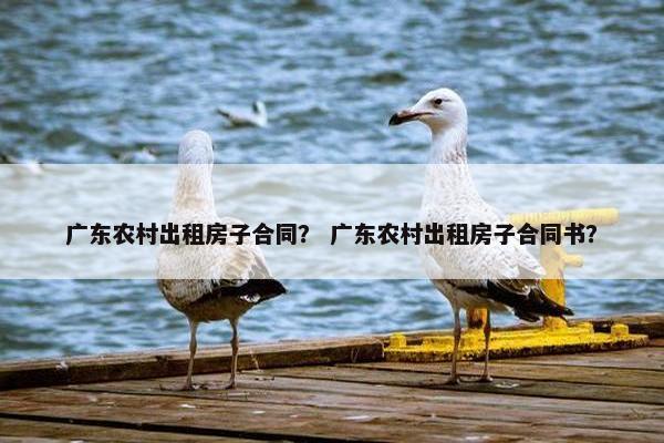 广东农村出租房子合同？ 广东农村出租房子合同书？