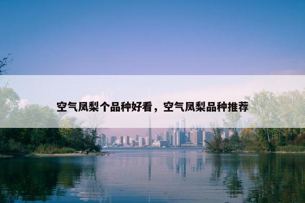 空气凤梨个品种好看，空气凤梨品种推荐
