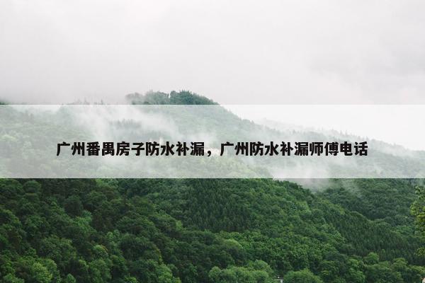 广州番禺房子防水补漏，广州防水补漏师傅电话