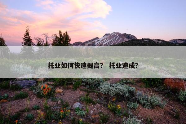 托业如何快速提高? 托业速成? 托业如何快速提高? 托业速成?