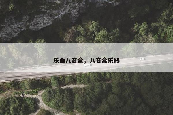 乐山八音盒，八音盒乐器