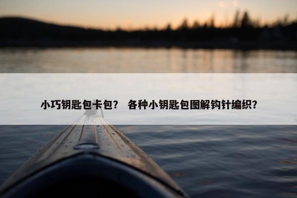 小巧钥匙包卡包？ 各种小钥匙包图解钩针编织？