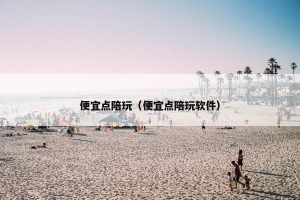 便宜点陪玩（便宜点陪玩软件）