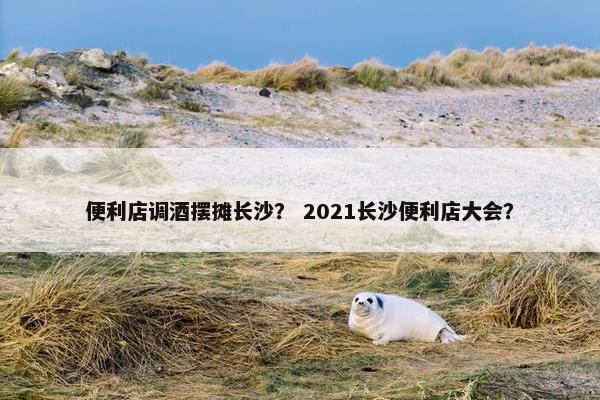 便利店调酒摆摊长沙? 2021长沙便利店大会? 便利店调酒摆摊长沙? 2021长沙便利店大会?