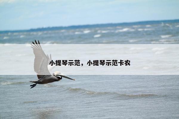 小提琴示范，小提琴示范卡农