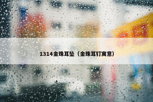 1314金珠耳坠（金珠耳钉寓意）
