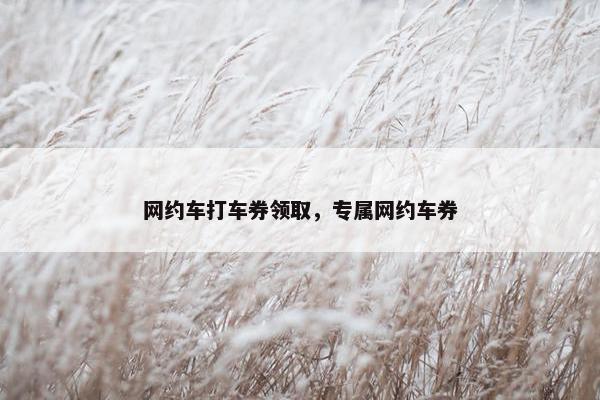 网约车打车券领取，专属网约车券