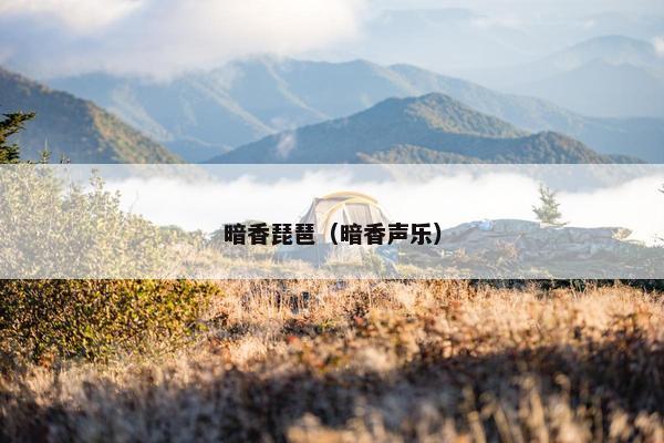 暗香琵琶（暗香声乐）