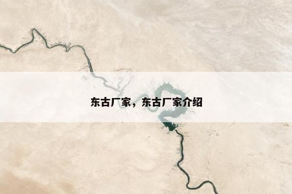 东古厂家，东古厂家介绍