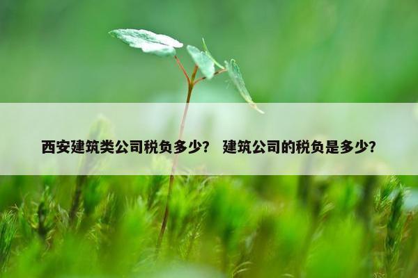 西安建筑类公司税负多少？ 建筑公司的税负是多少？