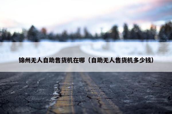 锦州无人自助售货机在哪(自助无人售货机多少钱) 锦州无人自助售货机在哪(自助无人售货机多少钱)