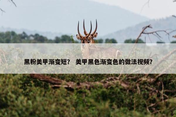 黑粉美甲渐变短？ 美甲黑色渐变色的做法视频？