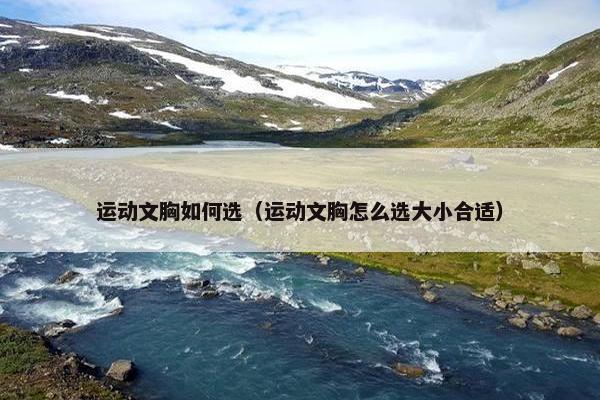 运动文胸如何选(运动文胸怎么选大小合适) 运动文胸如何选(运动文胸怎么选大小合适)