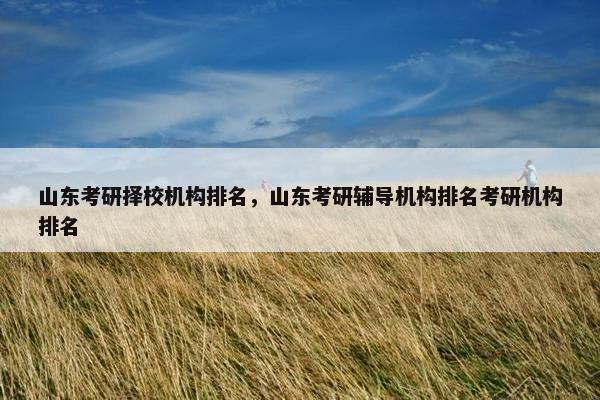 山东考研择校机构排名,山东考研辅导机构排名考研机构排名 山东考研择校机构排名,山东考研辅导机构排名考研机构排名