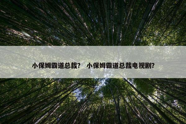 小保姆霸道总裁? 小保姆霸道总裁电视剧? 小保姆霸道总裁? 小保姆霸道总裁电视剧?