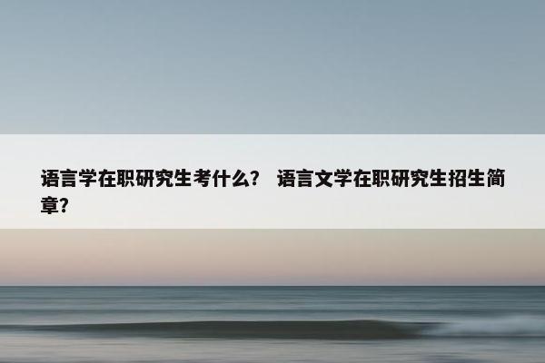 语言学在职研究生考什么? 语言文学在职研究生招生简章? 语言学在职研究生考什么? 语言文学在职研究生招生简章?