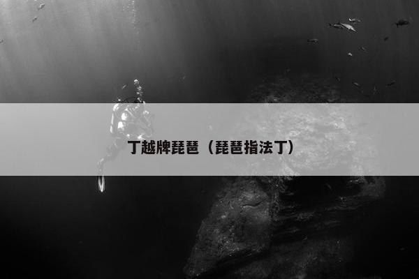 丁越牌琵琶(琵琶指法丁) 丁越牌琵琶(琵琶指法丁)