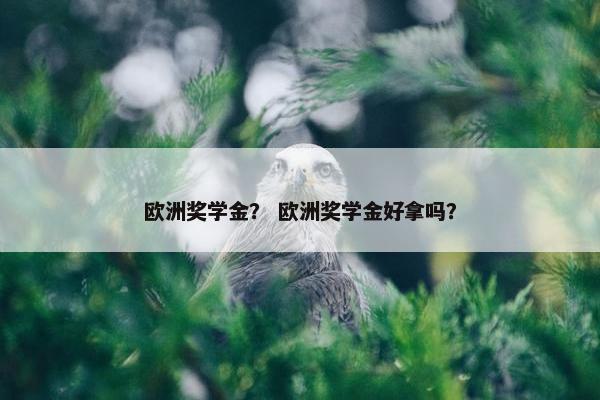 欧洲奖学金？ 欧洲奖学金好拿吗？